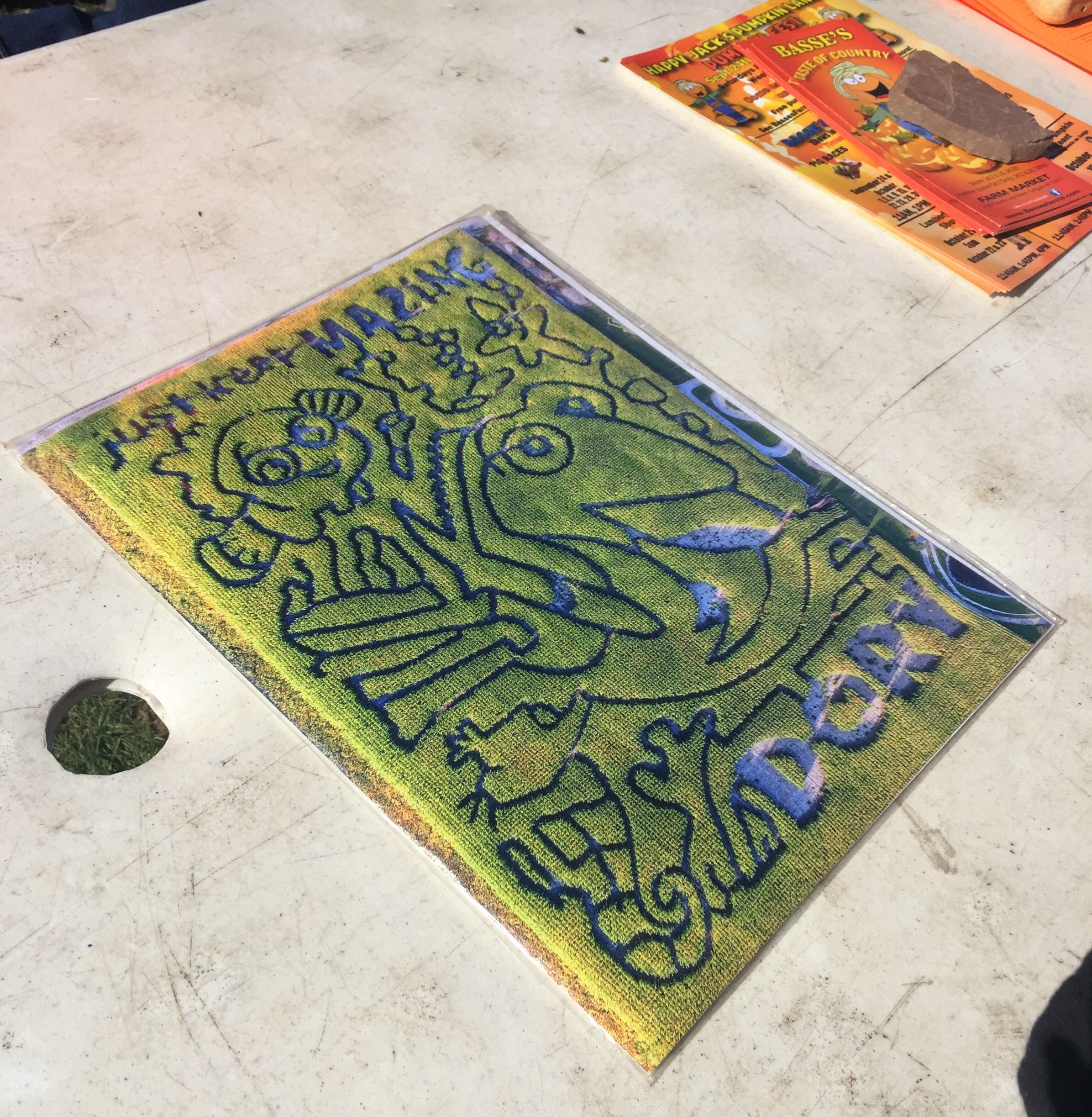 Finding Dory Maze